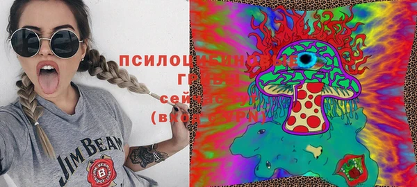прущий лед Липки