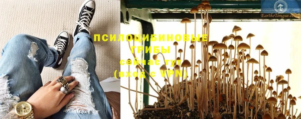 стаф Лихославль