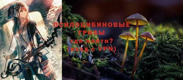 прущий лед Липки